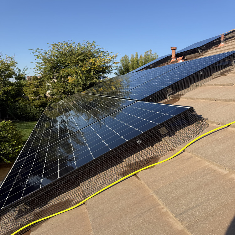 Rooftop solar array being rinsed with a water-fed pole